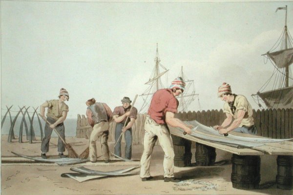 Whalebone Scrapers, from Costume of Yorkshire, engraved by Robert Havell (1769-1832) 1814