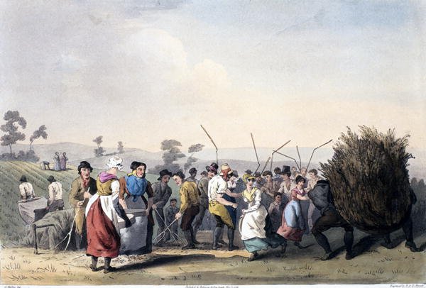 Rape Threshing, from 'The Costume of Yorkshire' engraved by Robert Havell (1769-1832) 1814