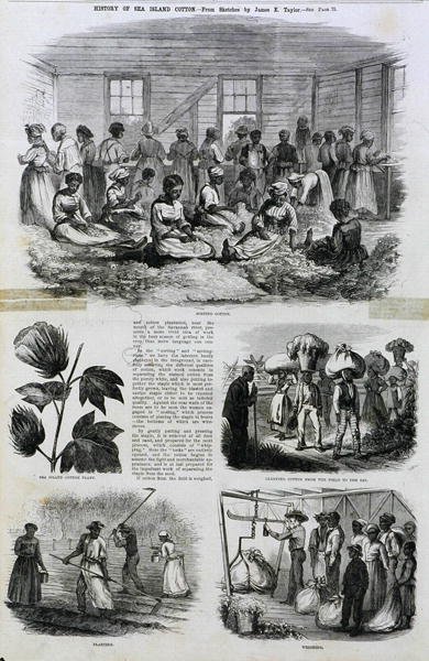 Five images of cotton processing, 1868