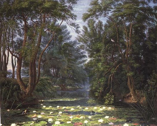 Cherwell Waterlilies