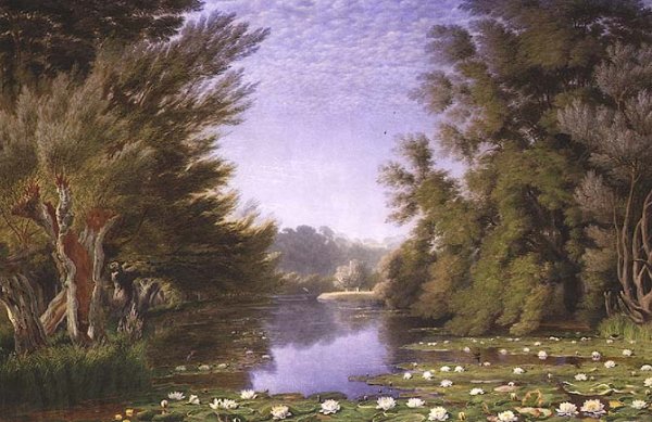 Water Lillies on the Cherwell