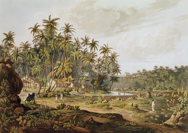 View near Point du Galle, Ceylon, engraved by Daniel Havell 1785-1826 published in 1809