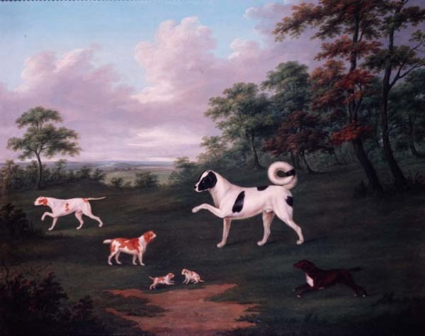 Sporting dogs in a landscape