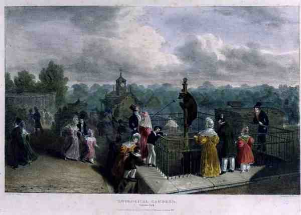 The Bear Pit at the Zoological Gardens, Regents Park, engraved and pub. by the artist, printed by Charles Hullmandel 1789-1850, 1835