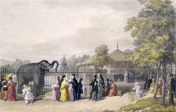 The Elephant House at the Zoological Gardens, Regents Park, engraved and pub. by the artist, printed by Charles Hullmandel 1789-1850, 1835