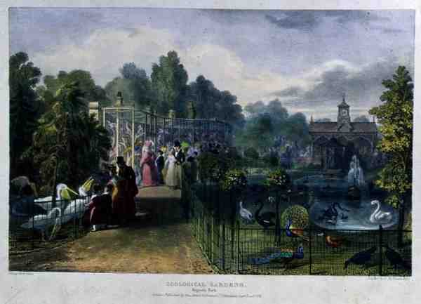 The Aviary at the Zoological Gardens, Regent's Park, engraved and pub. by the artist, printed by Charles Hullmandel 1789-1850, 1836