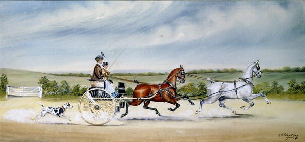 Driving the Tandem Cart, 1905