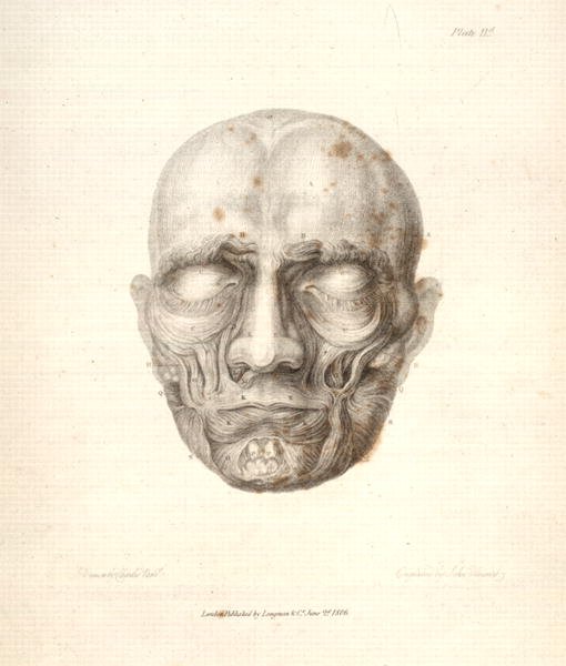 The Muscles of the face, from Charles Bells 1774-1842 Essays on the Anatomy of Expression in Painting, 1806