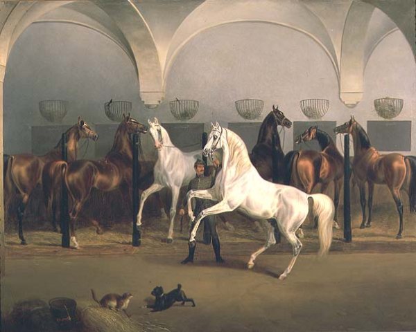 The Stables at Babolna, 1849