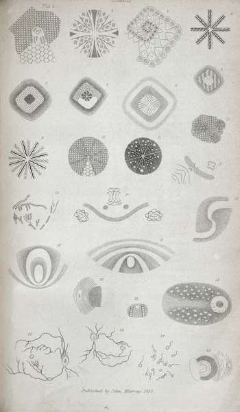 Plate II from Contributions of the physiology of vision No. I, published in the Journal of the Royal Institution, 1830