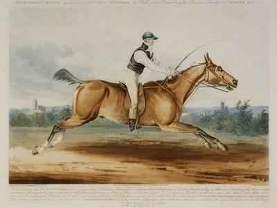 Portrait of Mr William Hutchinson on Stareing Tom, engraved by H. Meyer, 1819