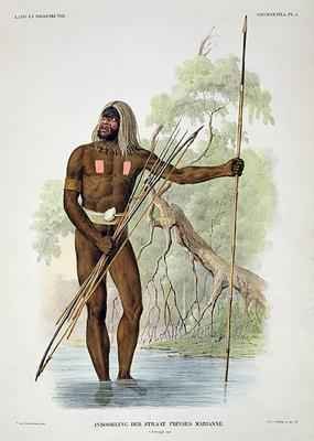 Native of Princess Marianna Strait from Verhandelingen over de Natuurlijke Geschiedenis der Nederlandsche overzeesche Bezittingen