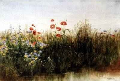 Wild Flowers by a Stream