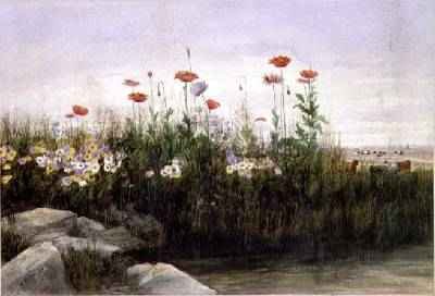 Bank of Summer Flowers 2