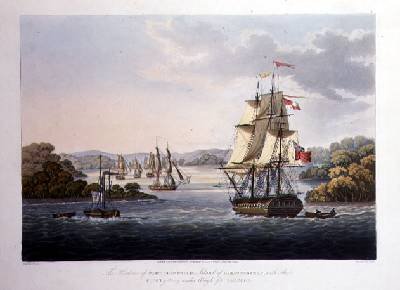 The Harbour of Port Cornwallis