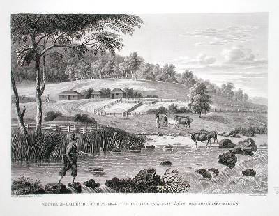 New South Wales New Holland