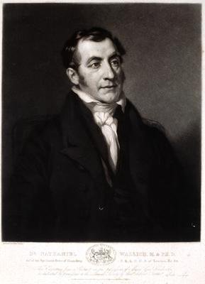 Dr Nathaniel Wallich