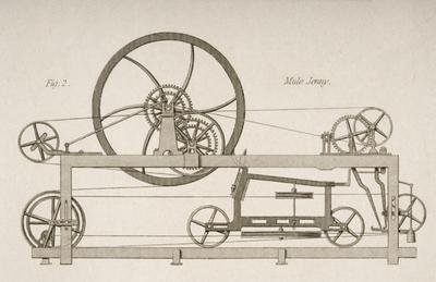 Side view of a Mule-Jenny