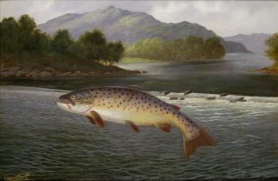 Hooked but not landed