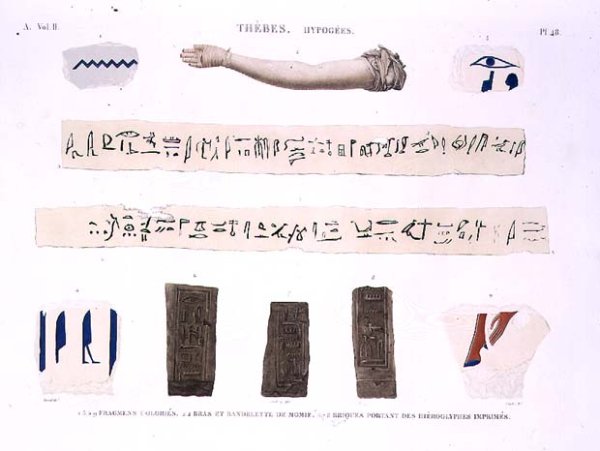 Illustrations of Hieroglyphics and the arm of a mummy from Hypogees