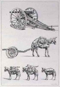 The Artillery Gun and its Transportation