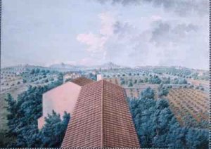 View of M Reverdits Garden near Toulon France