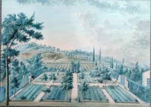 View of M Reverdits Garden near Toulon France