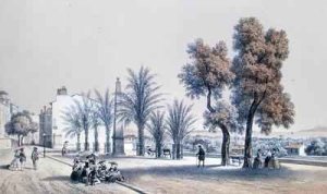 View of the Palm Promenade at Hyeres on the Cote dAzur