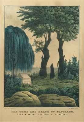 The tomb and shade of Napoleon from a natural curiosity at St Helena