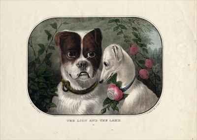 The lion and the lamb