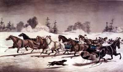 Out for a Morning Trot