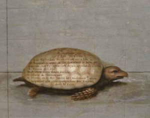 Terrestrial globe 36