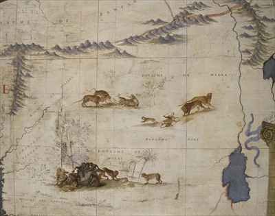 Terrestrial globe 52