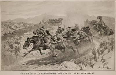 The Disaster at Koornspruit Driverless Teams Stampeding