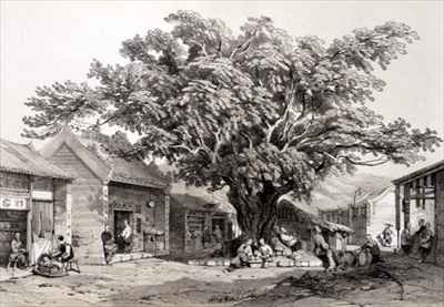 Village Square in the Bay of Hong Kong