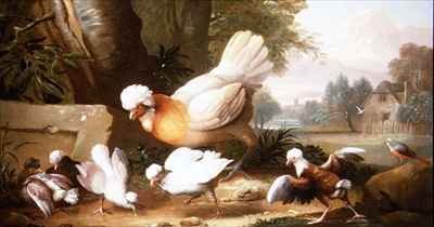 Poultry and Pigeons in a Landscape
