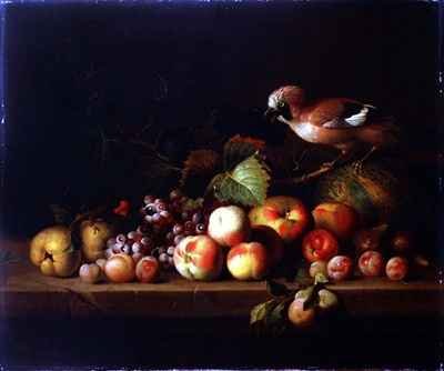 Still Life with a Jay