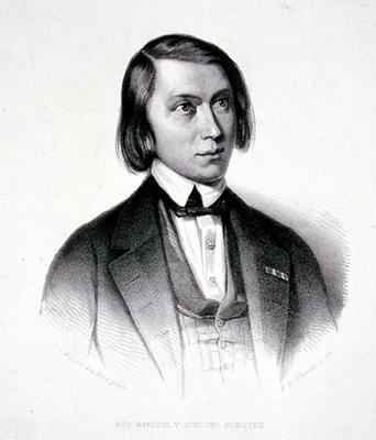 Portrait of Josephus Hermanus Verhulst (1816-91)