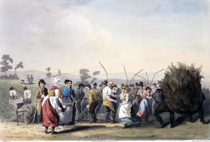 Rape Threshing, from 'The Costume of Yorkshire' engraved by Robert Havell (1769-1832) 1814