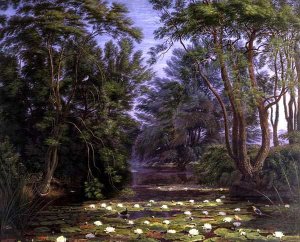 River Cherwell Waterlilies