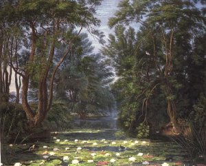 Cherwell Waterlilies