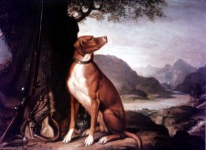 G. M. Johnstons favourite gun dog in a landscape