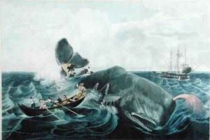 Capturing a Sperm Whale, engraved by J. Hill, published 1835