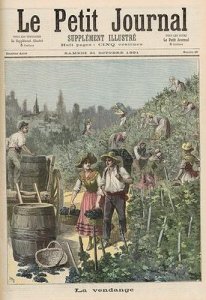The Wine Harvest from Le Petit Journal 31st October 1891