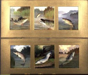 Selection of Fish Paintings