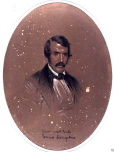 Portrait of David Livingstone 1813-73