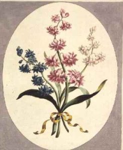 Eastern Hyacinths