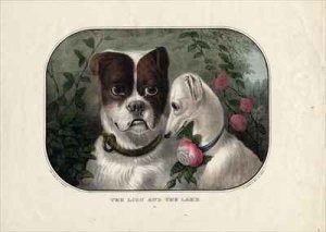 The lion and the lamb