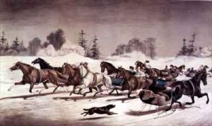 Out for a Morning Trot