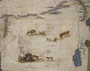 Terrestrial globe 52